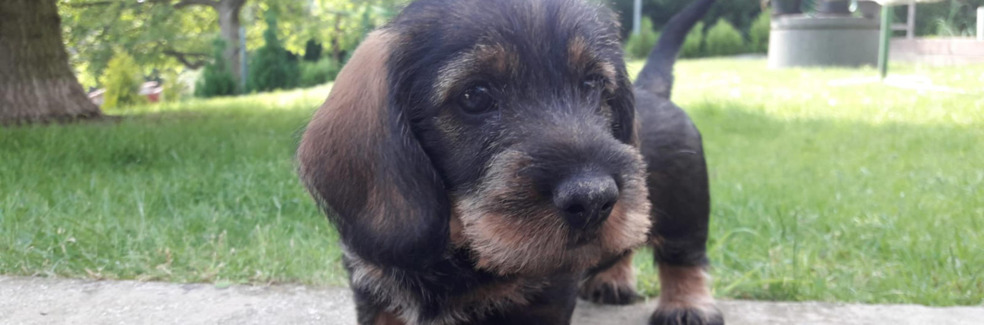 Chovatelská stanice Z Hory Ondřejník