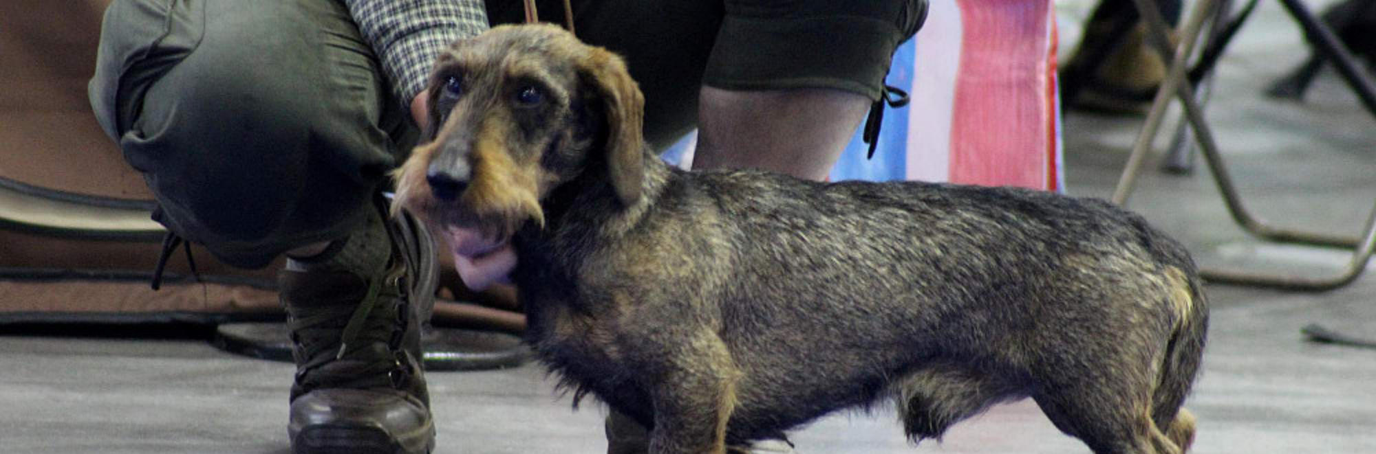 Chovatelská stanice Z Hory Ondřejník